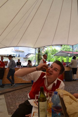 Ehrenkompanie Auer 2015