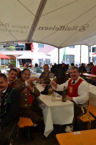 Ehrenkompanie Auer 2015